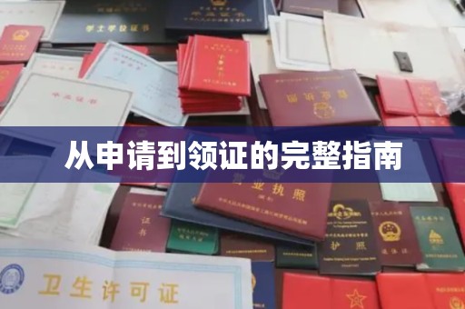 鸠江从申请到领证的完整指南