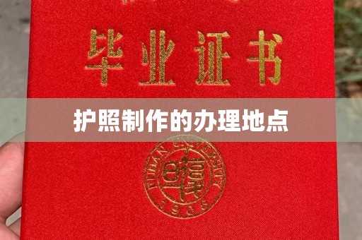 鸠江护照制作的办理地点