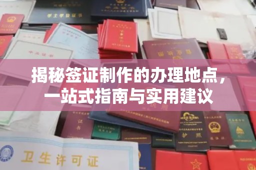鸠江揭秘签证制作的办理地点，一站式指南与实用建议