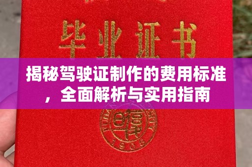 鸠江揭秘驾驶证制作的费用标准，全面解析与实用指南