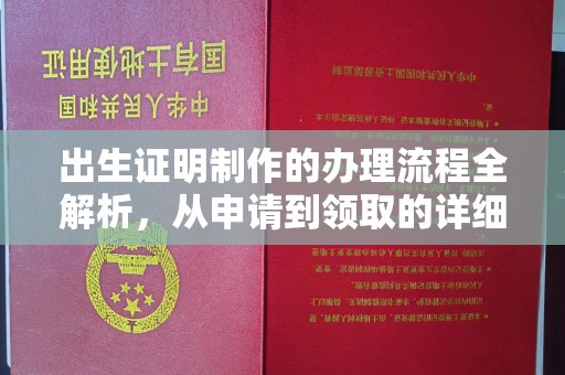 鸠江出生证明制作的办理流程全解析，从申请到领取的详细指南