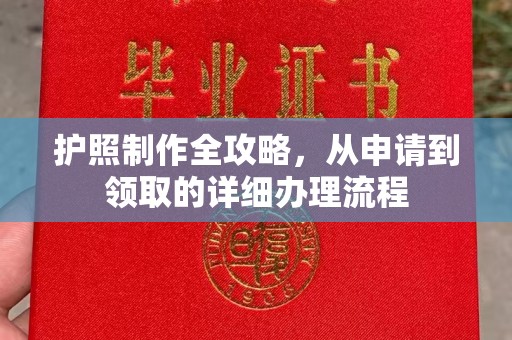 鸠江护照制作全攻略，从申请到领取的详细办理流程