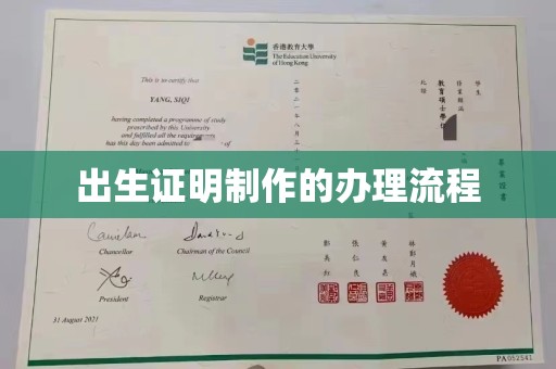鸠江出生证明制作的办理流程